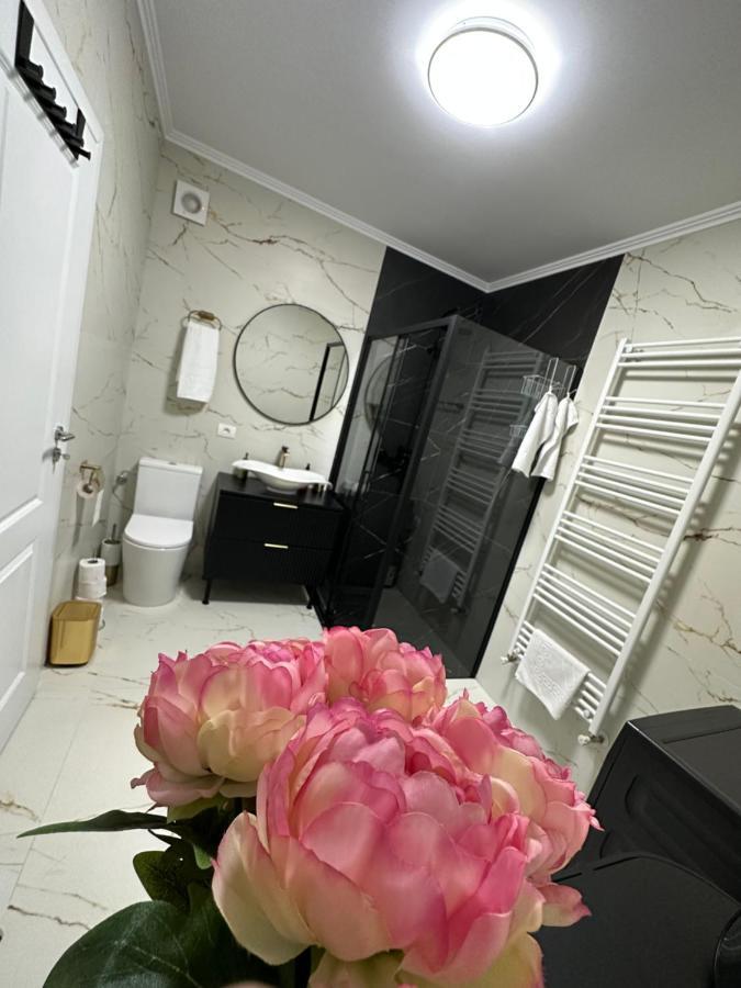 Apartament Bisera Timisoara Exterior photo
